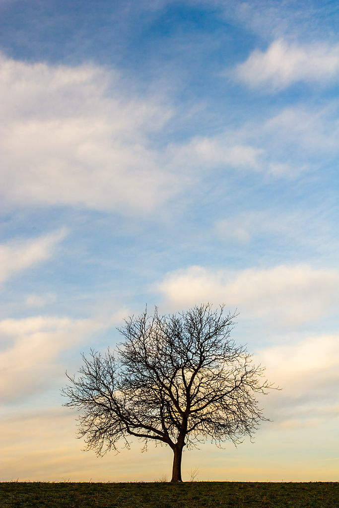 Leaning Towards Solitude