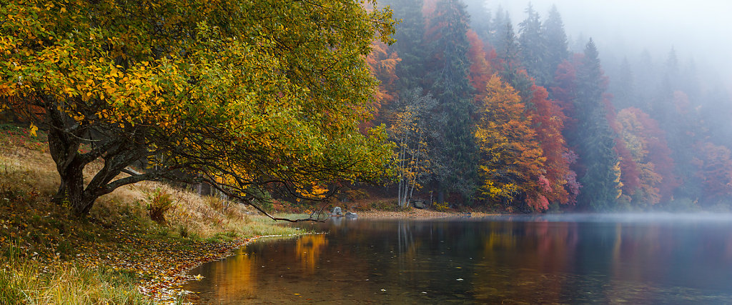 At The Autumn Shores