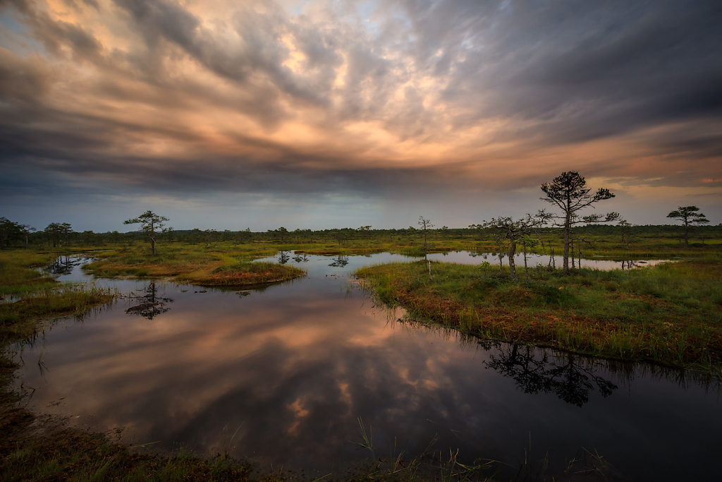 Distant Rains